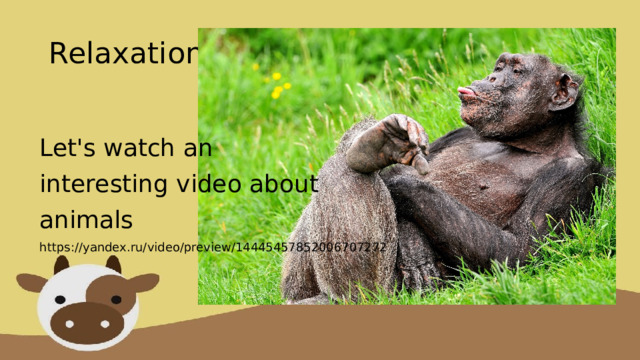 Relaxation Let's watch an interesting video about animals https://yandex.ru/video/preview/14445457852006707272 