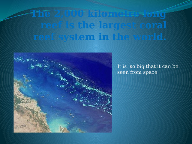 The 2,000 kilometre long reef is the largest coral reef system in the world. It is so big that it can be seen from space 