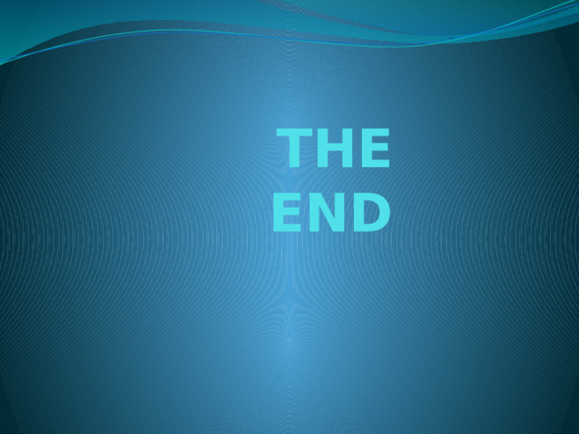 THE END 