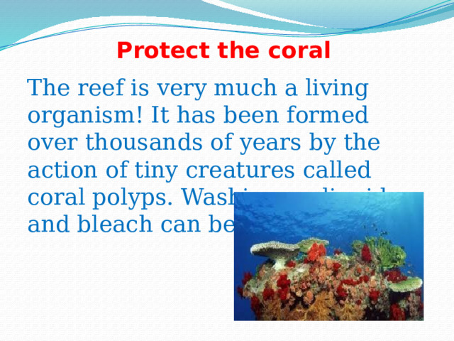 Protect the coral The reef is very much a living organism! It has been formed over thousands of years by the action of tiny creatures called coral polyps. Washing up liquid and bleach can be fatal to coral. 