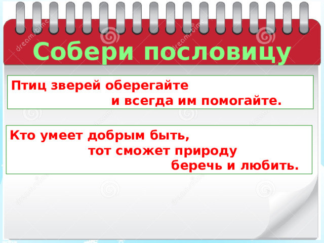 Собери пословицу Птиц зверей оберегайте  и всегда им помогайте. Кто умеет добрым быть,  тот сможет природу  беречь и любить. 