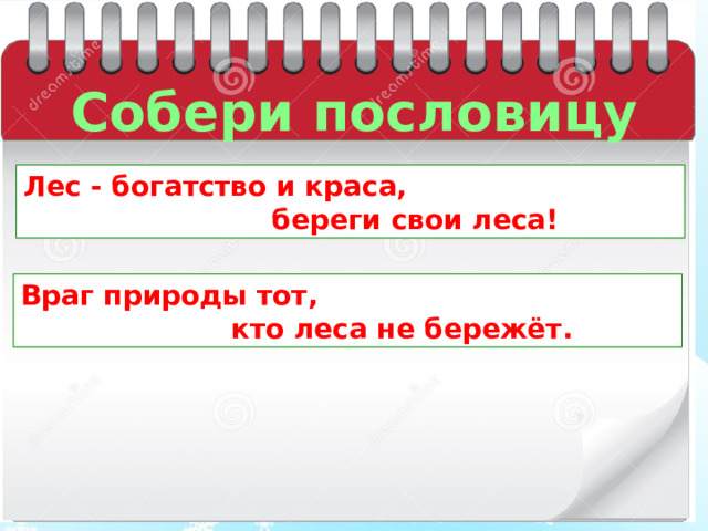 Собери пословицу Лес - богатство и краса,  береги свои леса! Враг природы тот,  кто леса не бережёт. 
