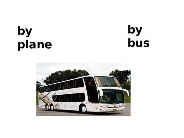 by bus by plane 