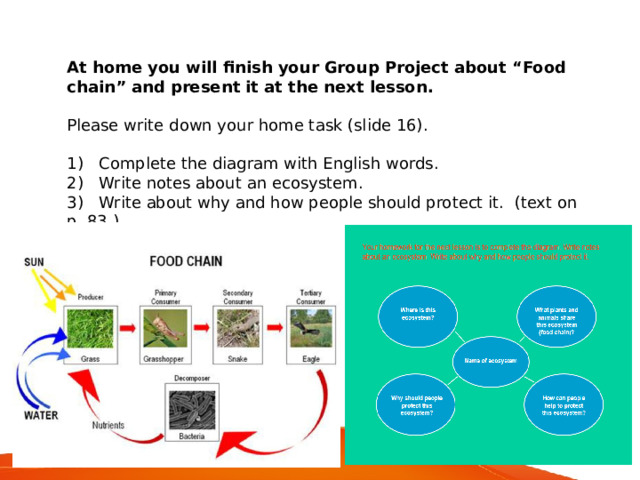 At home you will finish your Group Project about “Food chain” and present it at the next lesson. Please write down your home task (slide 16). 1)  Complete the diagram with English words. 2)  Write notes about an ecosystem. 3)  Write about why and how people should protect it. (text on p. 83.) 