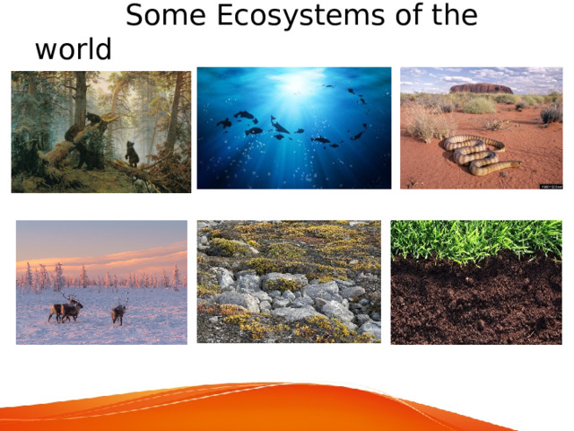  Some Ecosystems of the world 