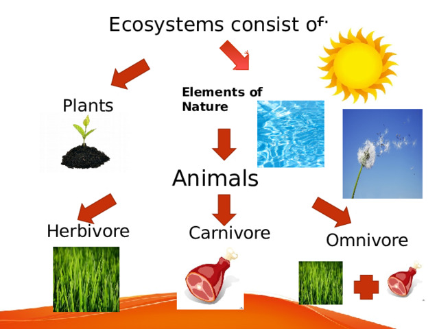 Ecosystems consist of: Elements of Nature Plants Animals Herbivore Carnivore Omnivore 
