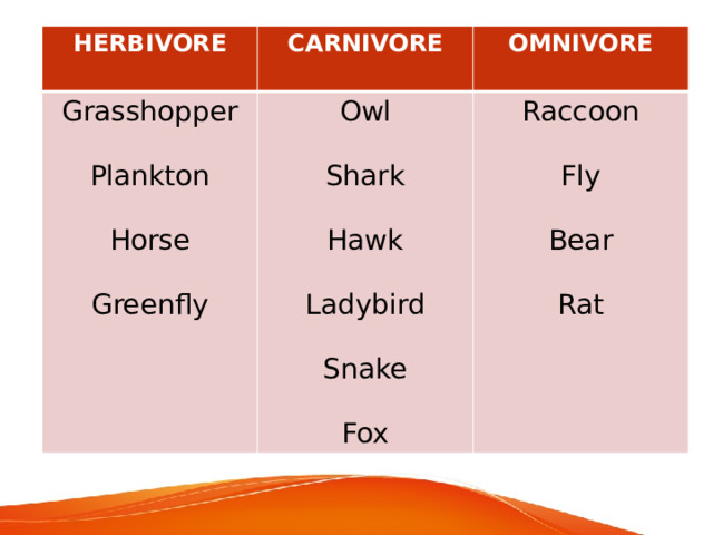 HERBIVORE Grasshopper CARNIVORE Owl OMNIVORE Raccoon Plankton Shark Horse Fly Hawk Greenfly Bear Ladybird Rat Snake Fox 
