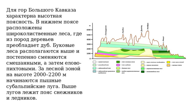 Для гор Большого Кавказа характерна высотная поясность. В нижнем поясе расположены широколиственные леса, где из пород деревьев преобладает дуб. Буковые леса располагаются выше и постепенно сменяются смешанными, а затем елово-пихтовыми. За лесной зоной на высоте 2000–2200 м начинаются пышные субальпийские луга. Выше лугов лежит пояс снежников и ледников. 