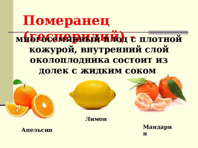 Померанец (гесперидий) - многосемянный плод с плотной кожурой, внутренний слой околоплодника состоит из долек с жидким соком  Лимон Мандарин Апельсин 