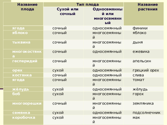 Название плода Тип плода Сухой или сочный ягода Односемянный или многосемянный яблоко Название растения сочный односемянный сочный тыквина многокостянка многосемянный финики сочный гесперидий сочный яблоко многосемянный односемянный сочный орех дыня костянка многосемянный ежевика сухой ягода сочный односемянный апельсин односемянный жёлудь грецкий орех сочный боб сухой слива многосемянный сухой многоорешки односемянный томат многосемянный семянка жёлудь сочный коробочка горох многосемянный сухой зерновка сухой односемянный земляника многосемянный стручок подсолнечник сухой мак односемянный сухой многосемянный пшеница редис 