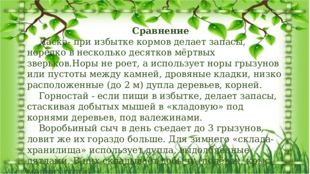 Сравнение Ласка- при избытке кормов делает запасы, нередко в несколько десятков мёртвых зверьков.Норы не роет, а использует норы грызунов или пустоты между камней, дровяные кладки, низко расположенные (до 2 м) дупла деревьев, корней. Горностай - если пищи в избытке, делает запасы, стаскивая добытых мышей в «кладовую» под корнями деревьев, под валежинами. Воробьиный сыч в день съедает до 3 грызунов, ловит же их гораздо больше. Для зимнего «склада-хранилища» использует дупла, выдолбленные дятлами. В них складывает добычу (полёвок, крыс, мелких птиц). Экологический проект: «Удивительная находка» 