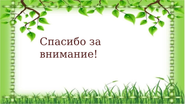 Экологический проект: «Удивительная находка» Спасибо за внимание! 