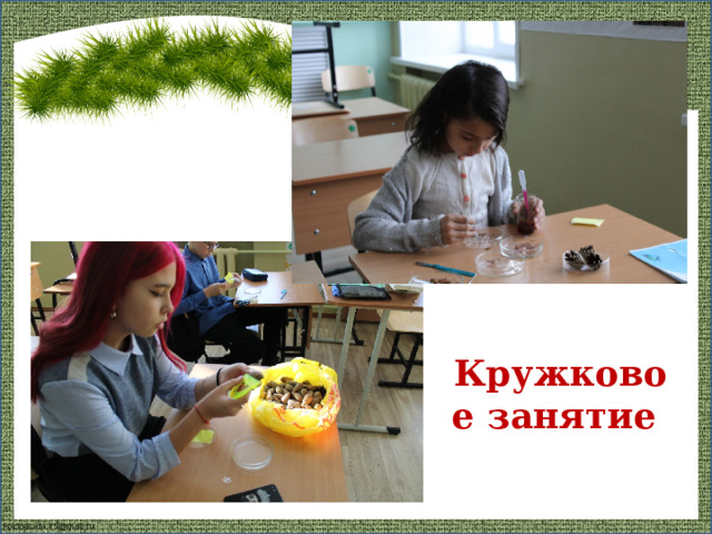 Кружковое занятие 
