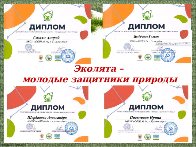 Эколята –  молодые защитники природы 
