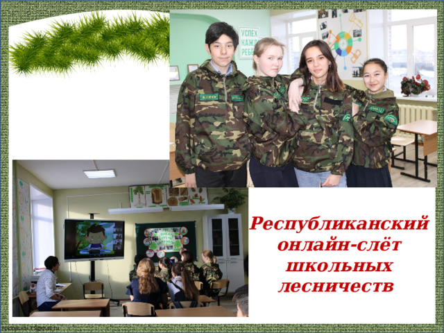 Республиканский онлайн-слёт школьных лесничеств 