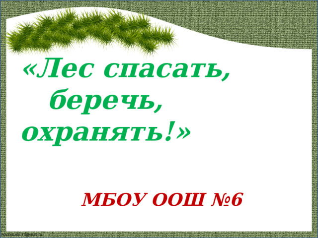 «Лес спасать,     беречь,       охранять!» МБОУ ООШ №6 