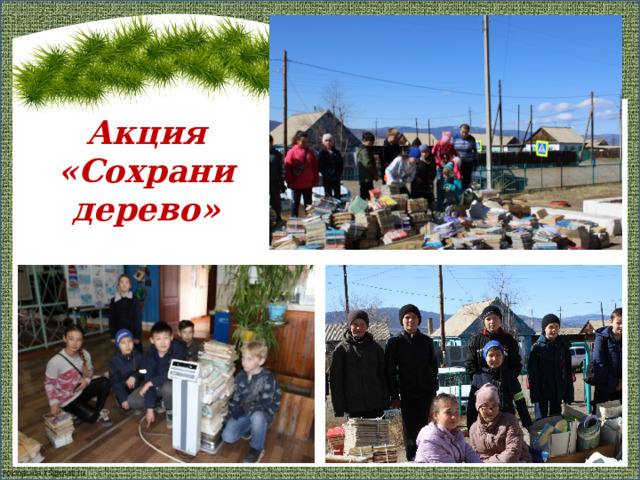 Акция «Сохрани дерево» 