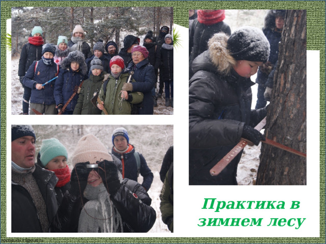 Практика в зимнем лесу 