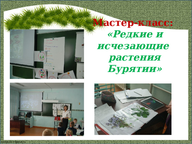 Мастер-класс:  «Редкие и исчезающие растения Бурятии» 3 