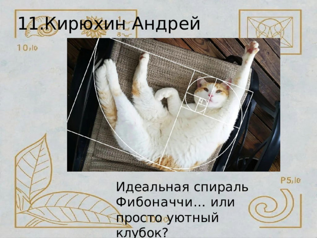 11.Кирюхин  Андрей Идеальная  спираль Фибоначчи…  или просто  уютный  клубок? 