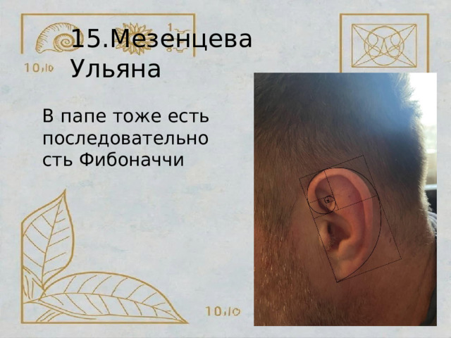 15.Мезенцева  Ульяна В  папе  тоже  есть последовательность Фибоначчи 