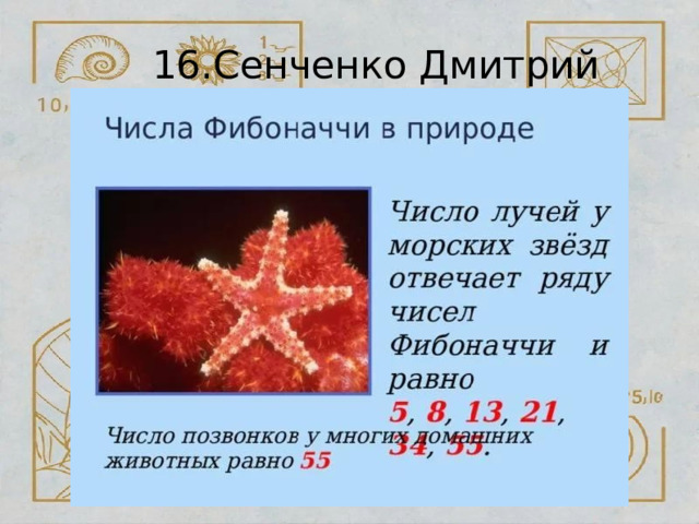 16.Сенченко  Дмитрий 