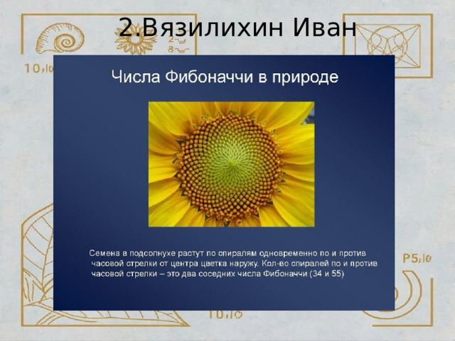2.Вязилихин  Иван 