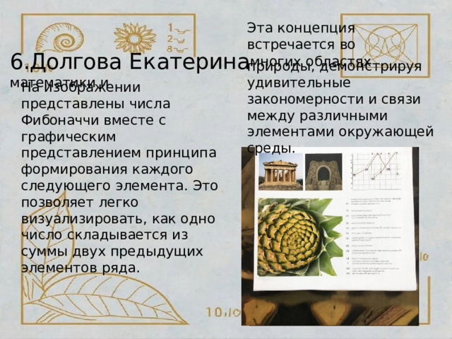 Эта  концепция  встречается  во 6.Долгова  Е к а т ерин а мно г их  областях  математики  и природы,  демонстрируя удивительные  закономерности и  связи  между  различными элементами  окружающей среды. На  изображении представлены  числа Фибоначчи  вместе  с графическим  представлением принципа  формирования каждого  следующего элемента.  Это  позволяет  легко визуализировать,  как  одно число  складывается  из  суммы двух  предыдущих  элементов ряда. 