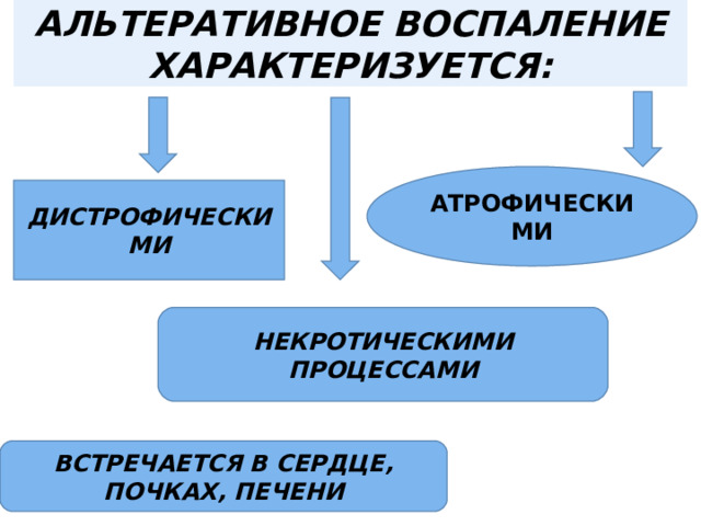 АЛЬТЕРАТИВНОЕ ВОСПАЛЕНИЕ ХАРАКТЕРИЗУЕТСЯ: АТРОФИЧЕСКИМИ ДИСТРОФИЧЕСКИМИ НЕКРОТИЧЕСКИМИ ПРОЦЕССАМИ ВСТРЕЧАЕТСЯ В СЕРДЦЕ, ПОЧКАХ, ПЕЧЕНИ 