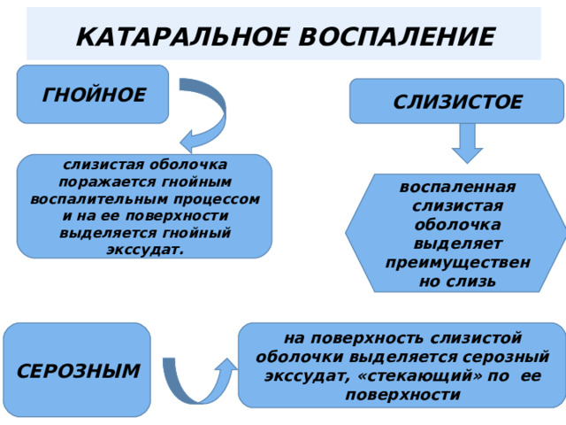  КАТАРАЛЬНОЕ ВОСПАЛЕНИЕ   ГНОЙНОЕ СЛИЗИСТОЕ слизистая оболочка поражается гнойным воспалительным процессом и на ее поверхности выделяется гнойный экссудат. воспаленная слизистая оболочка выделяет преимущественно слизь СЕРОЗНЫМ на поверхность слизистой оболочки выделяется серозный экссудат, «стекающий» по ее поверхности 
