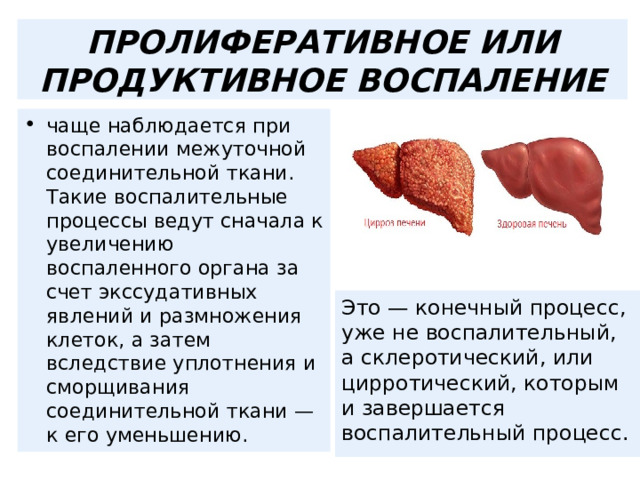 ПРОЛИФЕРАТИВНОЕ ИЛИ ПРОДУКТИВНОЕ ВОСПАЛЕНИЕ чаще наблюдается при воспалении межуточной соединительной ткани. Такие воспалительные процессы ведут сначала к увеличению воспаленного органа за счет экссудативных явлений и размножения клеток, а затем вследствие уплотнения и сморщивания соединительной ткани — к его уменьшению. Это — конечный процесс, уже не воспалительный, а склеротический, или цирротический, которым и завершается воспалительный процесс. 