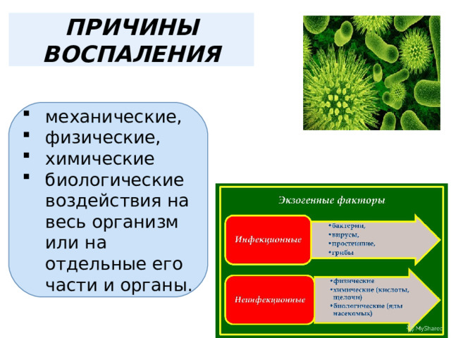 ПРИЧИНЫ ВОСПАЛЕНИЯ механические, физические, химические биологические воздействия на весь организм или на отдельные его части и органы. 
