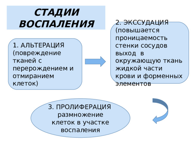 СТАДИИ ВОСПАЛЕНИЯ 2. ЭКССУДАЦИЯ (повышается проницаемость стенки сосудов выход в окружающую ткань жидкой части крови и форменных элементов 1. АЛЬТЕРАЦИЯ (повреждение тканей с перерождением и отмиранием клеток) 3. ПРОЛИФЕРАЦИЯ размножение клеток в участке воспаления 