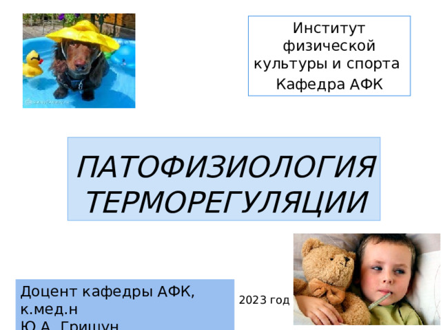 Институт физической культуры и спорта Кафедра АФК ПАТОФИЗИОЛОГИЯ ТЕРМОРЕГУЛЯЦИИ Доцент кафедры АФК, к.мед.н Ю.А. Гришун 2023 год 