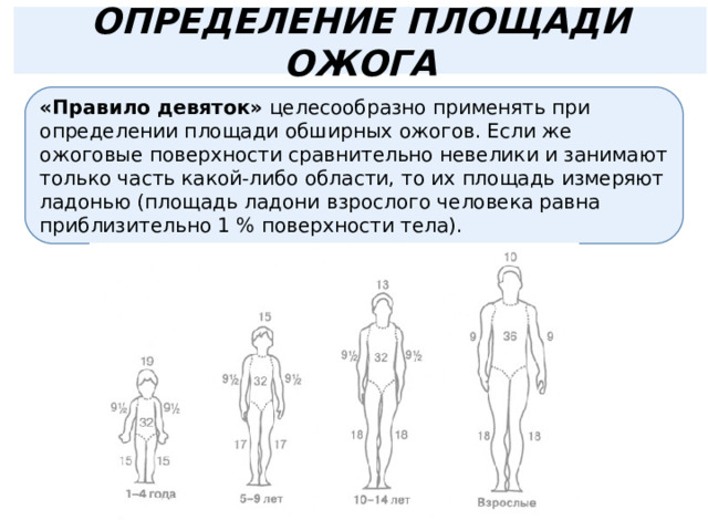 ОПРЕДЕЛЕНИЕ ПЛОЩАДИ ОЖОГА «Правило девяток» целесообразно применять при определении площади обширных ожогов. Если же ожоговые поверхности сравнительно невелики и занимают только часть какой-либо области, то их площадь измеряют ладонью (площадь ладони взрослого человека равна приблизительно 1 % поверхности тела). 