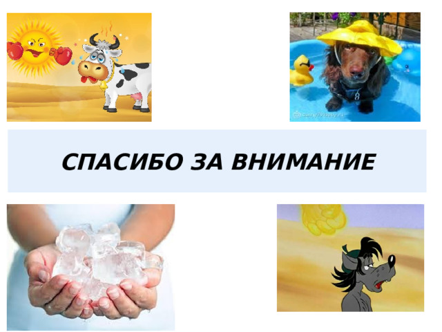 СПАСИБО ЗА ВНИМАНИЕ 