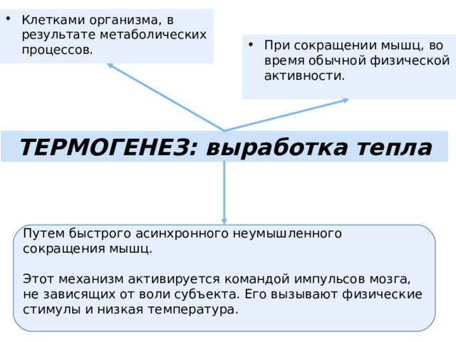 Клетками организма, в результате метаболических процессов. При сокращении мышц, во время обычной физической активности.  ТЕРМОГЕНЕЗ: выработка тепла Путем быстрого асинхронного неумышленного сокращения мышц. Этот механизм активируется командой импульсов мозга, не зависящих от воли субъекта. Его вызывают физические стимулы и низкая температура. 