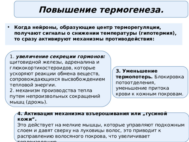 Повышение термогенеза. Когда нейроны, образующие центр терморегуляции, получают сигналы о снижении температуры (гипотермия), то сразу активируют механизмы противодействия:  1. увеличение секреции гормонов: щитовидной железы, адреналина и глюкокортикостероидов, которые ускоряют реакции обмена веществ, сопровождающихся высвобождением тепловой энергии. 2. механизм производства тепла путем непроизвольных сокращений мышц (дрожь). 3. Уменьшение термопотерь. Блокировка потоотделения, уменьшение притока крови к кожным покровам. 4. Активация механизма взъерошивания или „гусиной кожи“. Это действует на мелкие мышцы, которые управляют подкожным слоем и давят сверху на луковицы волос, это приводит к расправлению волосяного покрова, что увеличивает теплоизоляцию. 