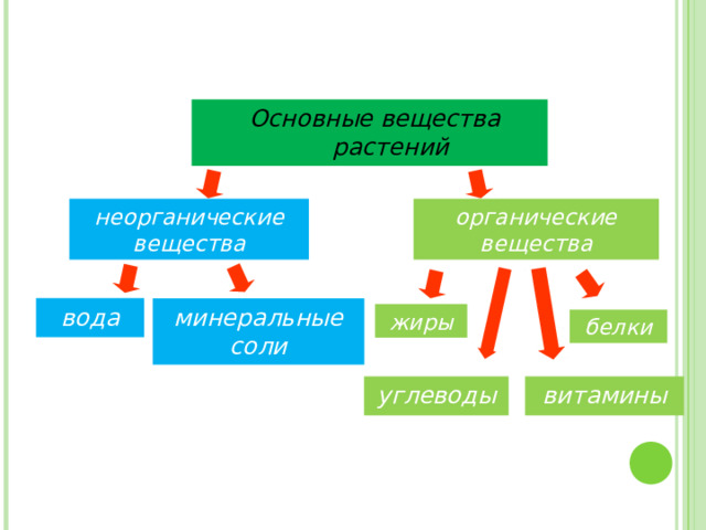 Основные вещества растений неорганические вещества органические вещества вода минеральные соли жиры белки углеводы витамины 