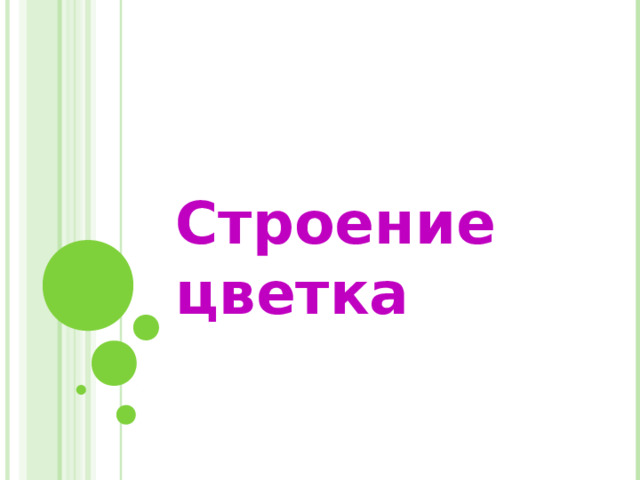 Строение цветка 