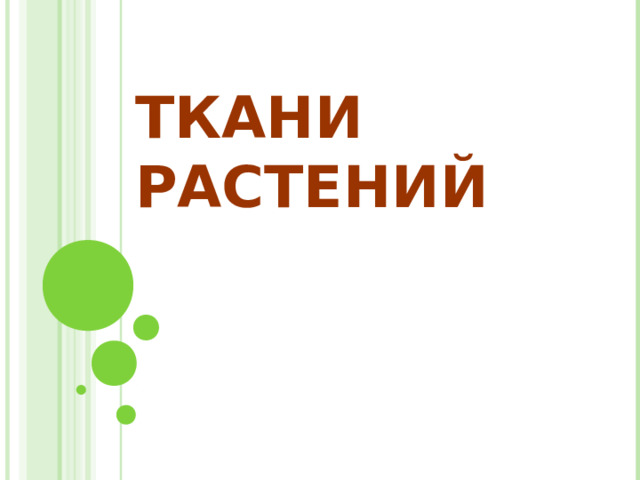  ТКАНИ РАСТЕНИЙ  