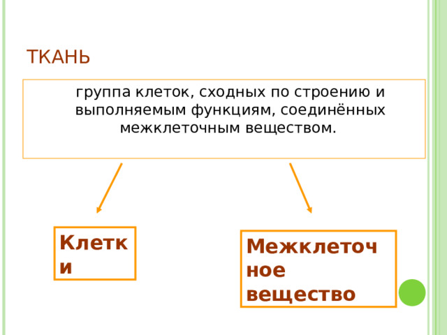 ТКАНЬ  группа клеток, сходных по строению и выполняемым функциям, соединённых межклеточным веществом. Клетки  Межклеточное вещество 