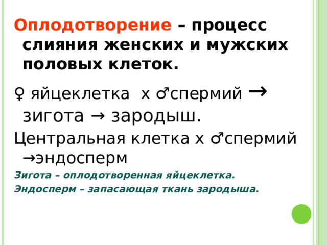 Оплодотворение – процесс слияния женских и мужских половых клеток. ♀ яйцеклетка х ♂спермий → зигота → зародыш. Центральная клетка х ♂спермий →эндосперм Зигота – оплодотворенная яйцеклетка. Эндосперм – запасающая ткань зародыша. 