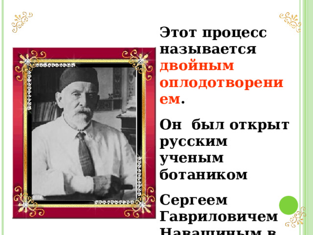 Этот процесс называется двойным оплодотворением . Он был открыт русским ученым ботаником Сергеем Гавриловичем Навашиным в 1898 году. 