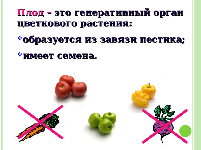 Плод –  это генеративный орган цветкового растения: образуется из завязи пестика; имеет семена. 