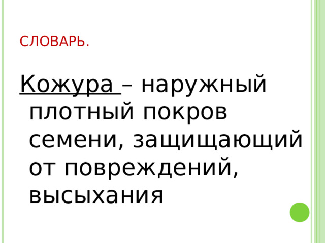 СЛОВАРЬ. Кожура – наружный плотный покров семени, защищающий от повреждений, высыхания 