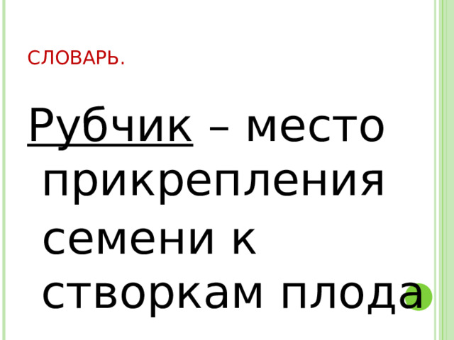 СЛОВАРЬ. Рубчик – место прикрепления  семени к створкам плода 