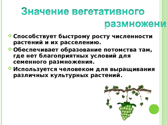 Способствует быстрому росту численности растений и их расселению. Обеспечивает образование потомства там, где нет благоприятных условий для семенного размножения . Используется человеком для выращивания различных культурных растений . 