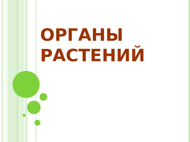 ОРГАНЫ РАСТЕНИЙ  