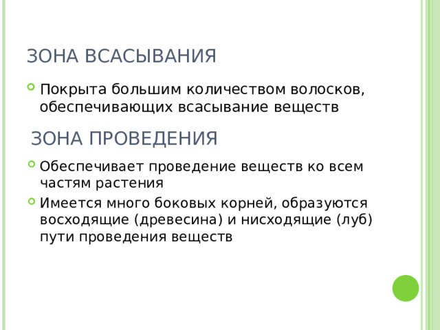 ЗОНА ВСАСЫВАНИЯ Покрыта большим количеством волосков, обеспечивающих всасывание веществ ЗОНА ПРОВЕДЕНИЯ Обеспечивает проведение веществ ко всем частям растения Имеется много боковых корней, образуются восходящие (древесина) и нисходящие (луб) пути проведения веществ 